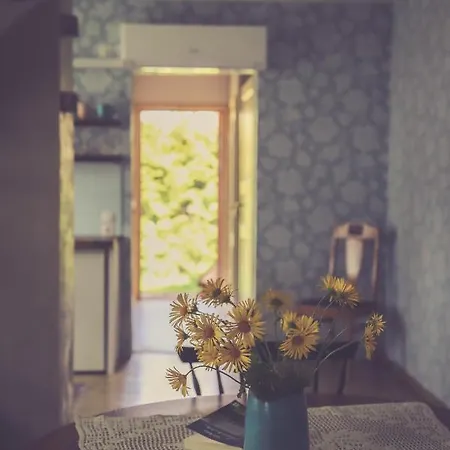 Apartment Retrovisiit Helmi Kardla