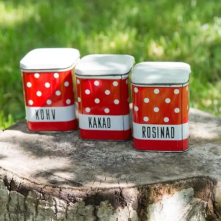 Apartment Retrovisiit Helmi Kardla