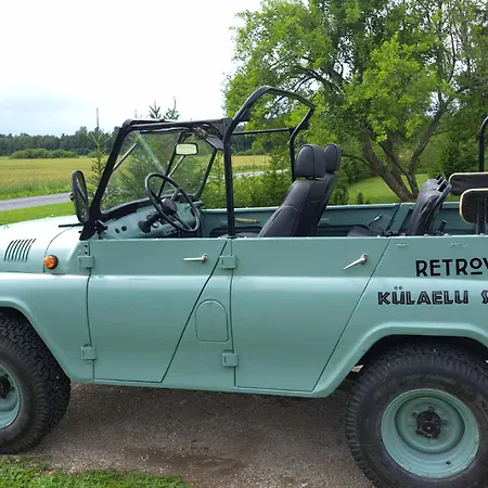 Retrovisiit Helmi Daire