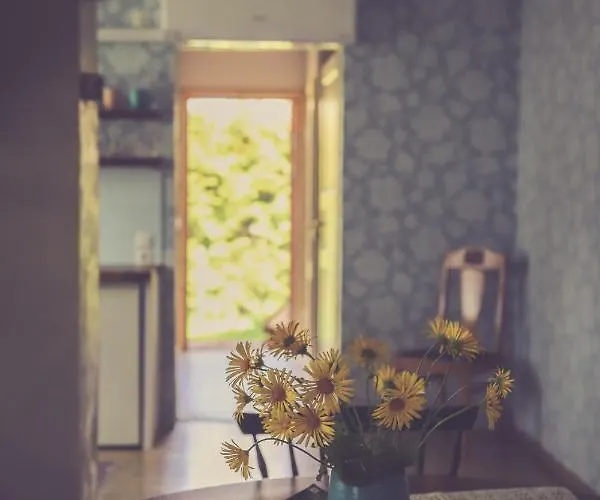 Apartamento Retrovisiit Helmi Kärdla