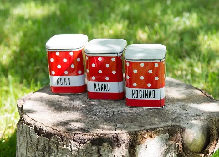 Apartamento Retrovisiit Helmi Kärdla