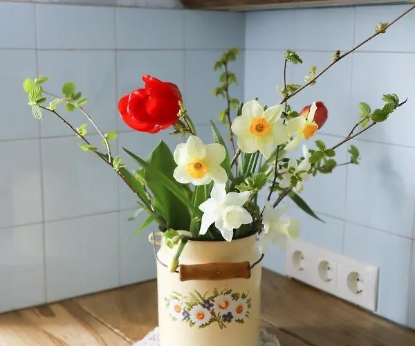 Retrovisiit Helmi Kärdla